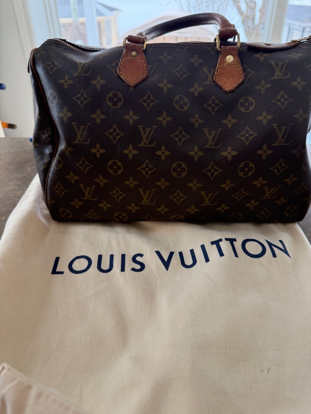 Louis Vuitton Brown Monogram Leather-Trim Satchel Detail